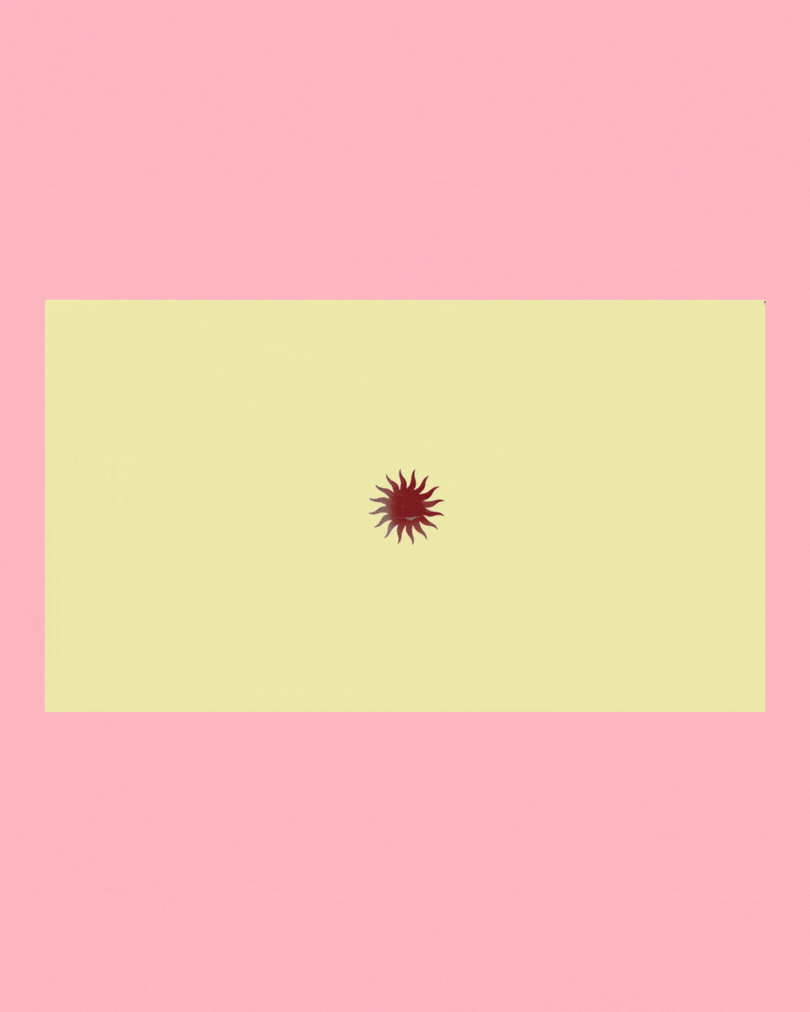 Lively Olive Landing Page Gif