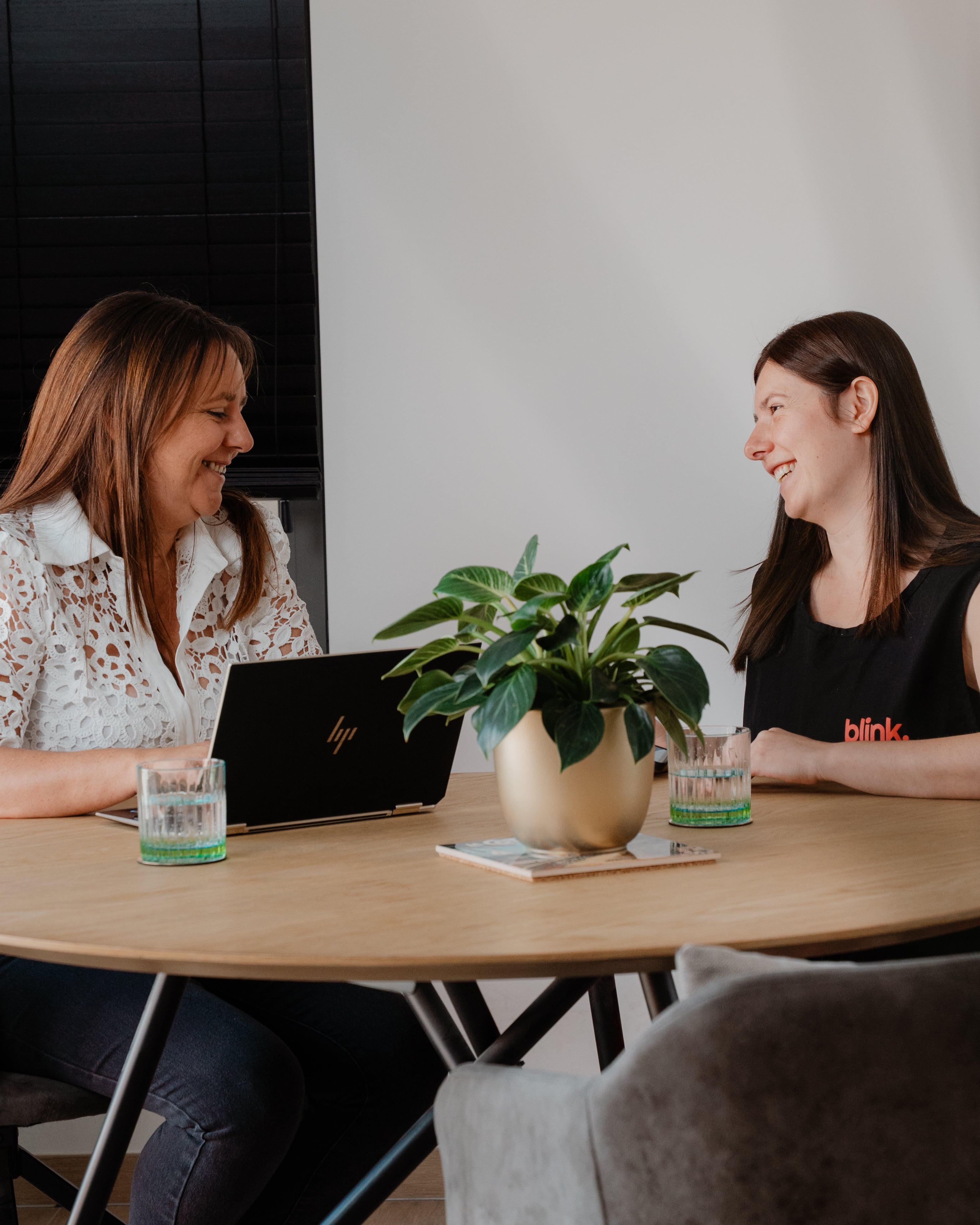 Blink huishoudhulp en conculent