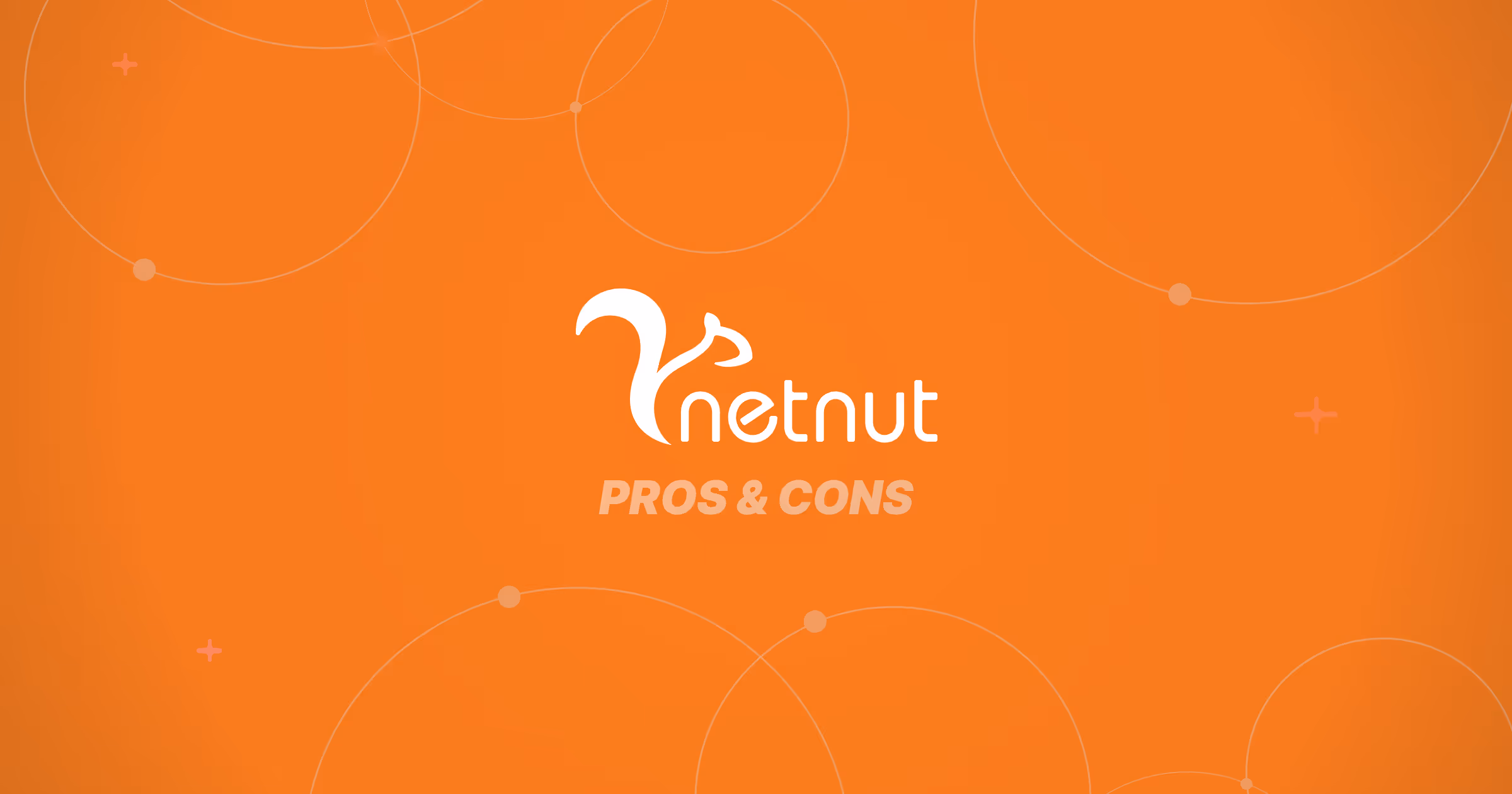 NetNut logo with "Pros & Cons" subtitle on an orange background with abstract circular design