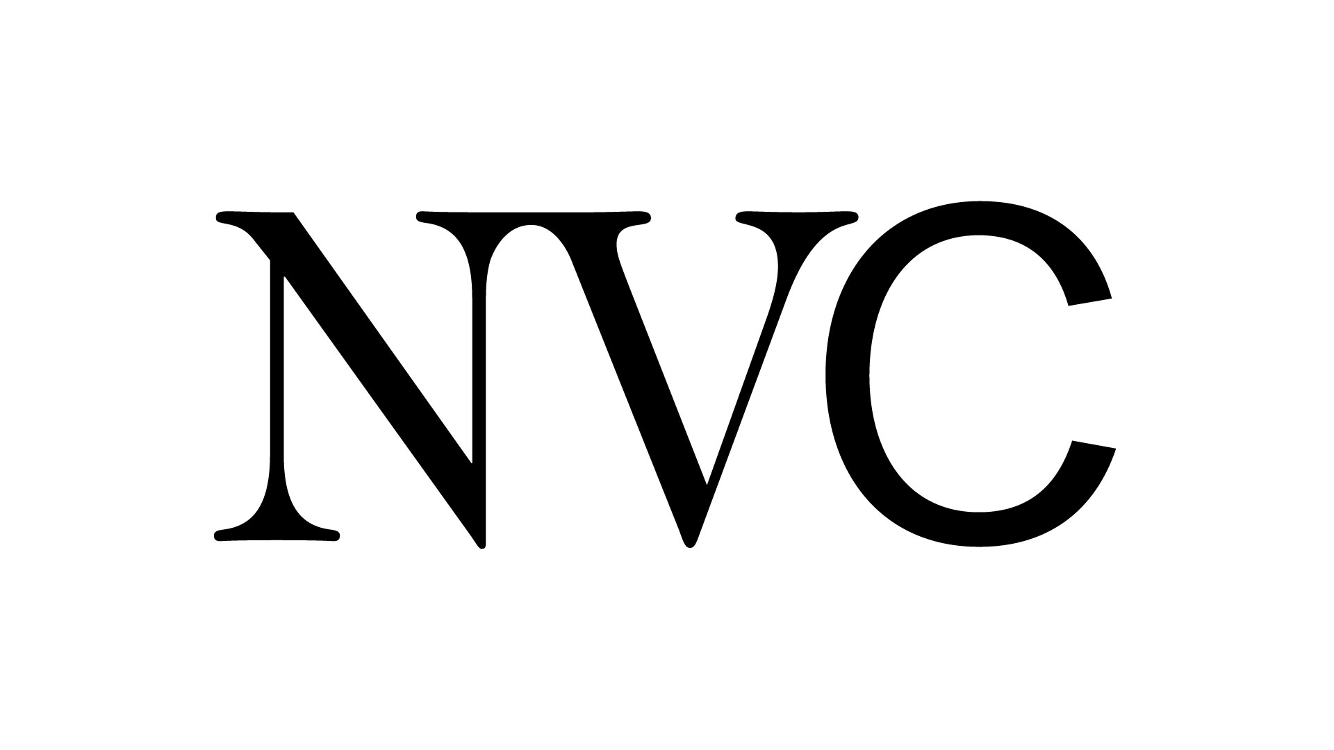 NewView Capital photo