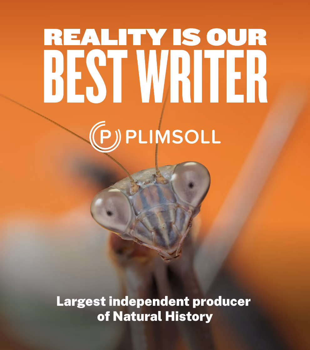 Close-up of a praying mantis head with text about reality being the best writer and natural history producer.