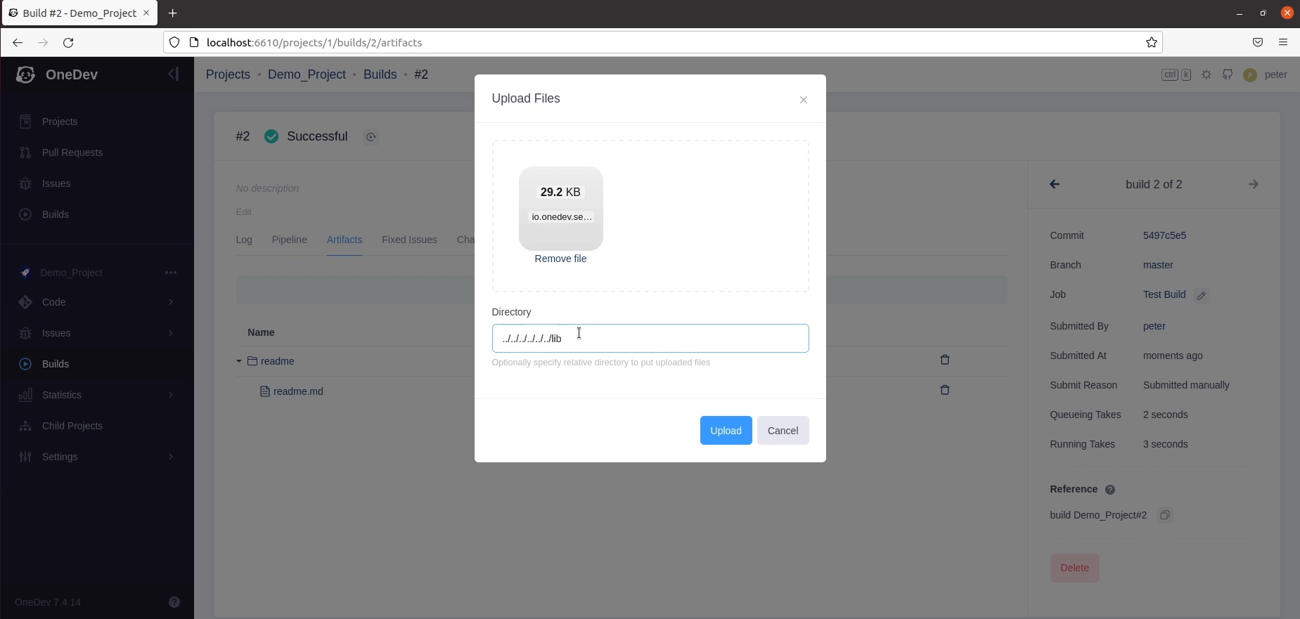 Application and Run any build in Onedev v7.4.14
