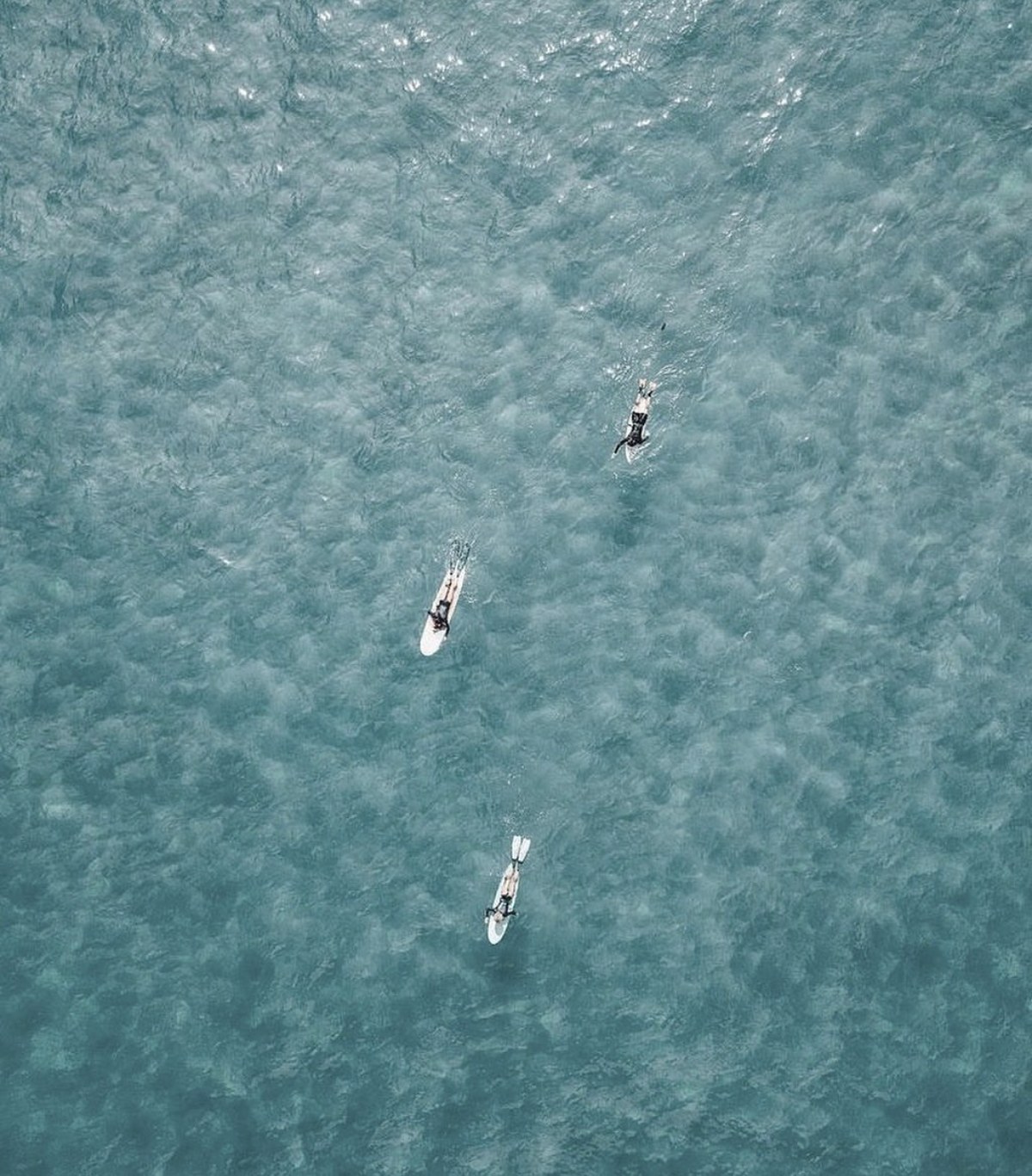 the lineup at oyambre, from above, on film