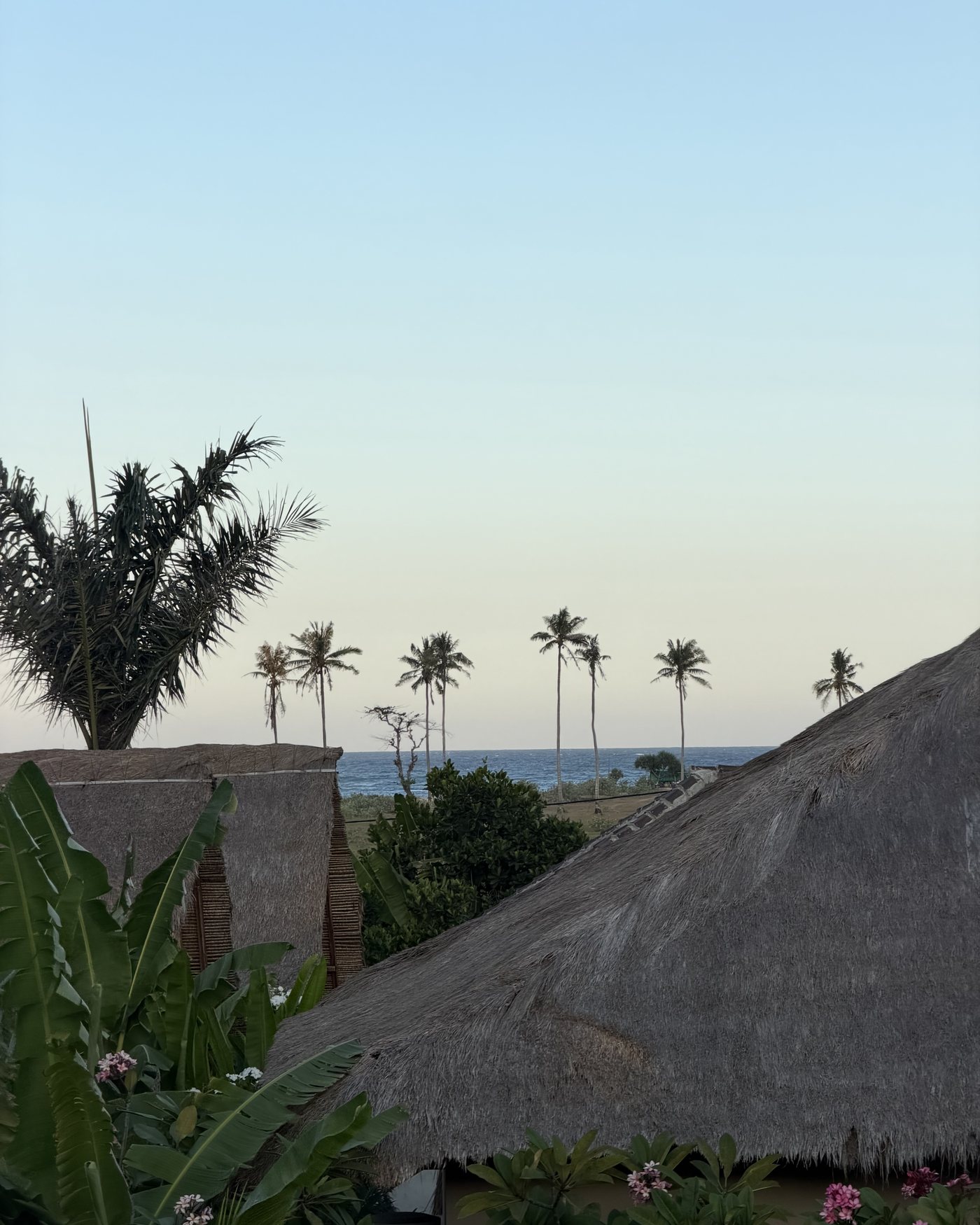 the view at dusk