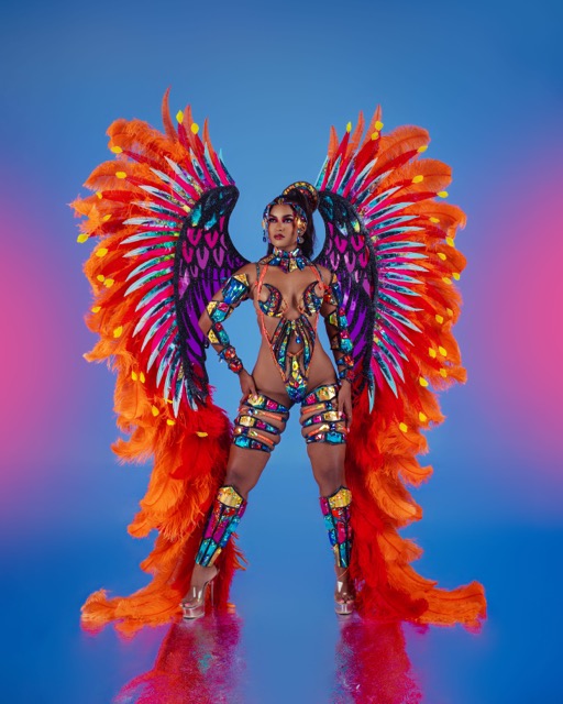 Frontline Bodywear with Ultra Frontline Backpack