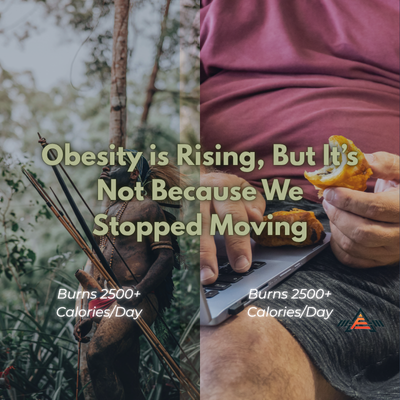 Why Obesity Is Rising in Wealthy Countries: It's Not Because We're Moving Less