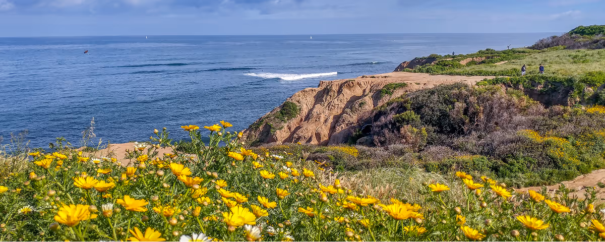 Yellow wildflowers in the foreground with a rugged cliff and ocean waves under a partly cloudy sky.