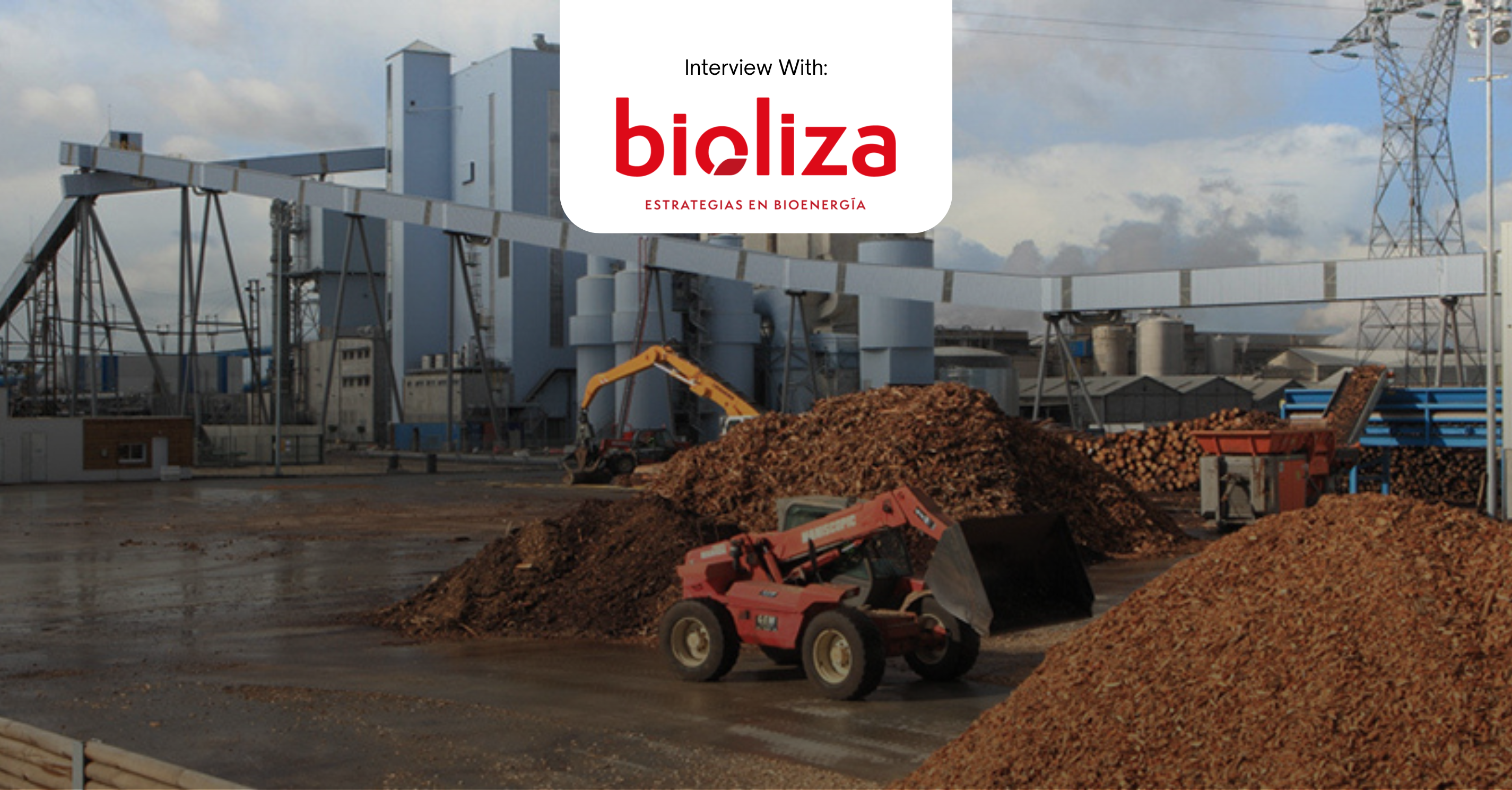 Exclusive interview with Bioliza: transforming biomass into opportunity for Cuba’s energy transition