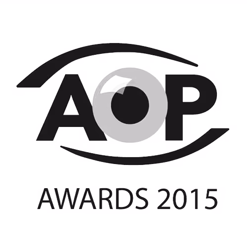 A black and white logo with the words aop awards 2013
