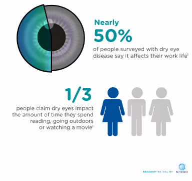 A pie chart showing the percentage of people with eyeballs