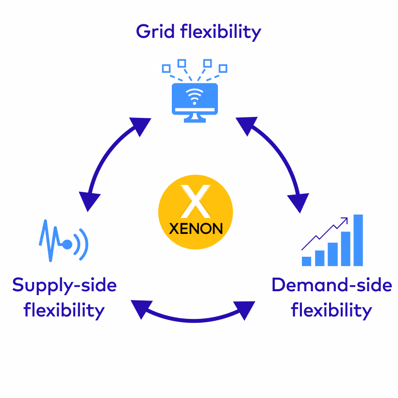 Enhancing grid flexibility, demand-side flexibility and supply-side flexibility