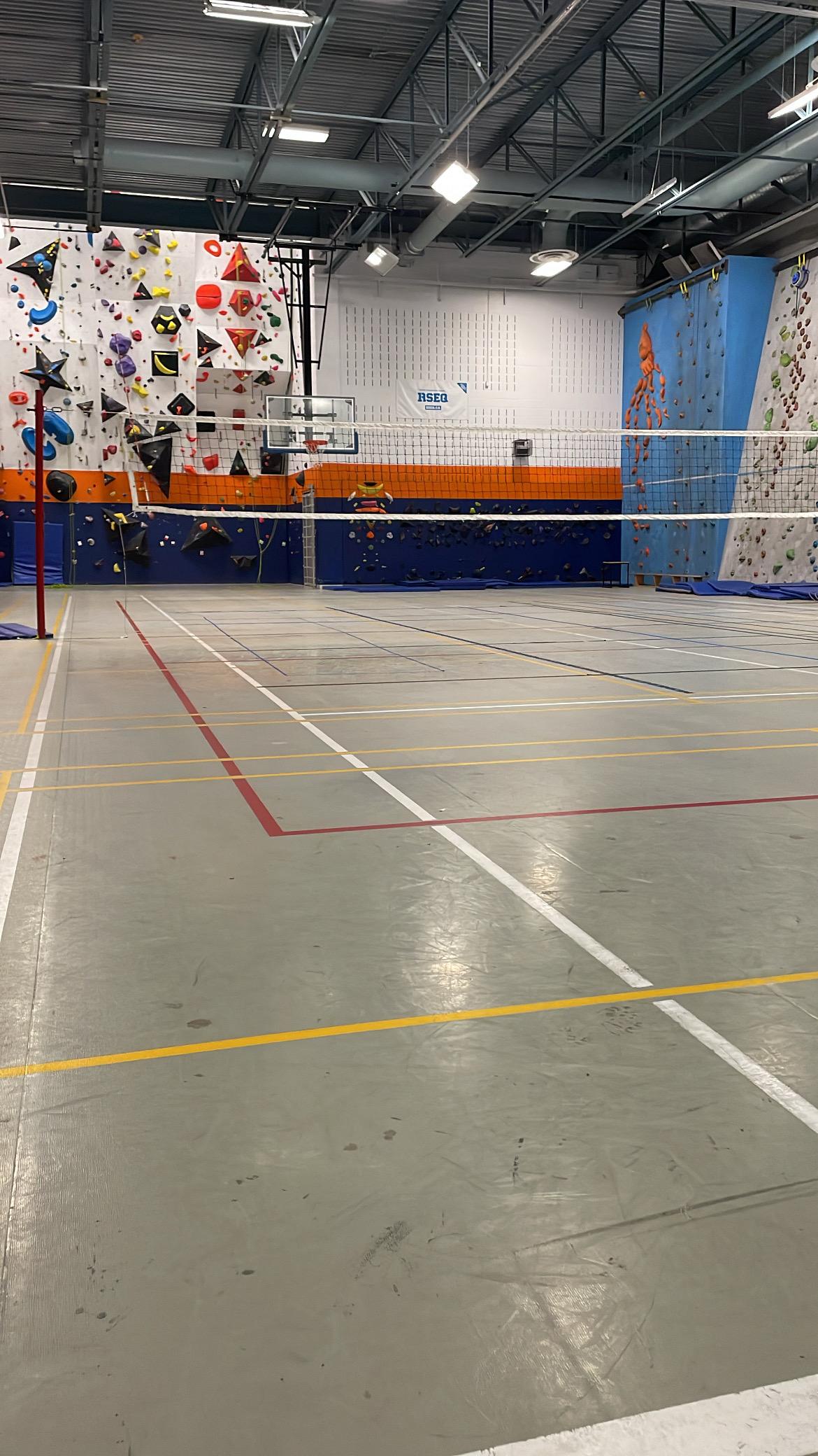 CO-ED Pickup Volleyball In Cégep André-Laurendeau, La Salle