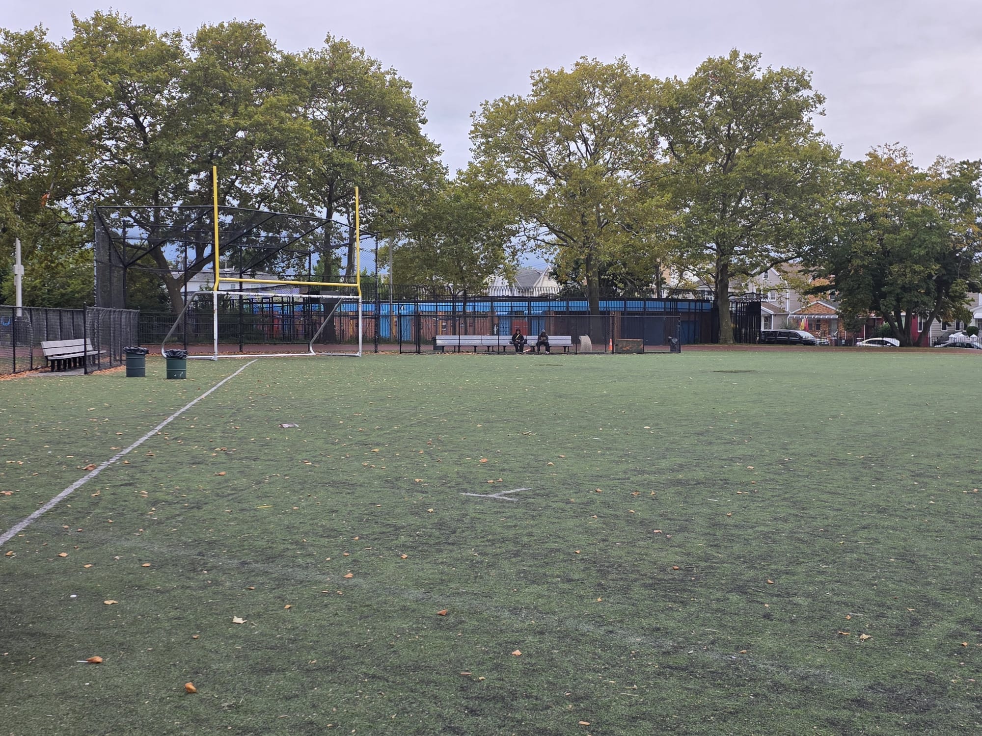 Roy Wilkins, Jamaica