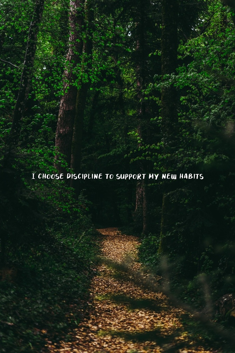 I choose discipline to support my new habits.