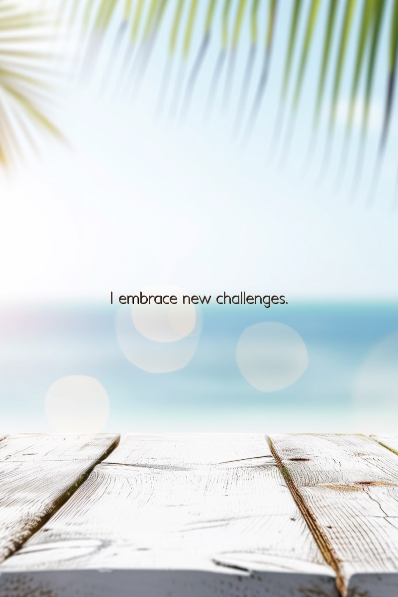 I embrace new challenges.
