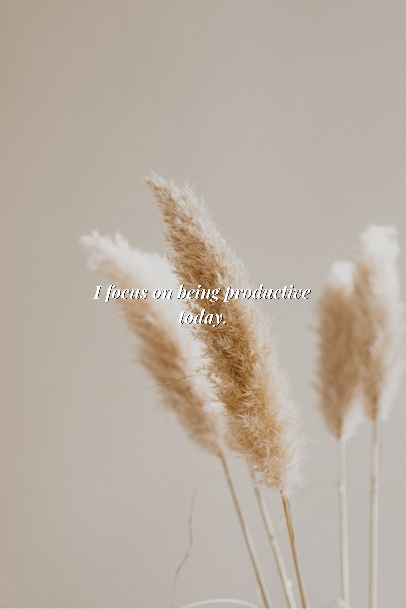 I focus on being productive today.