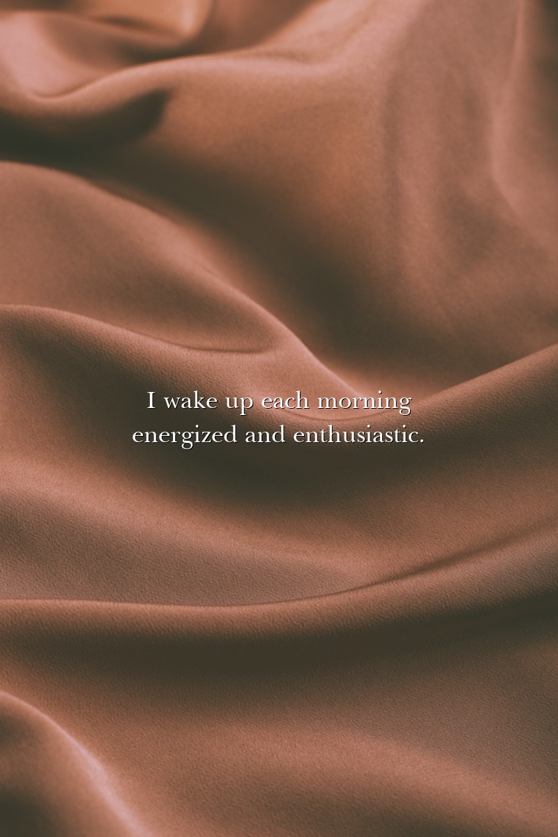 I wake up each morning energized and enthusiastic.