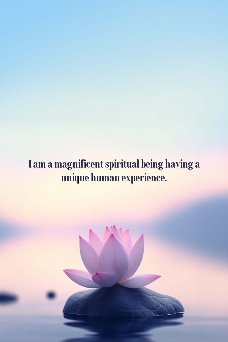 I am a magnificent spiritual being having a unique human experience.