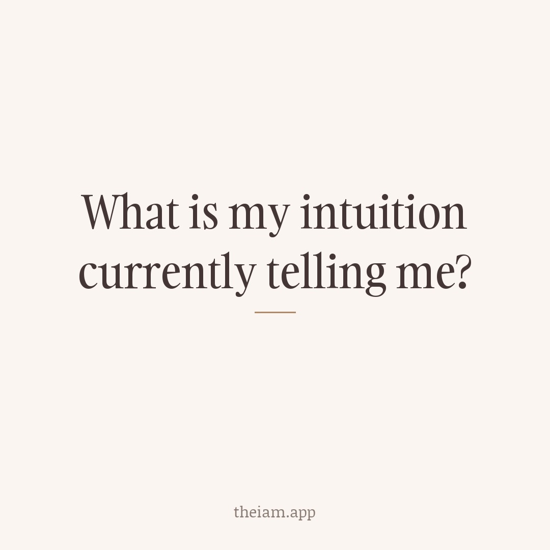 What is my intuition currently telling me?