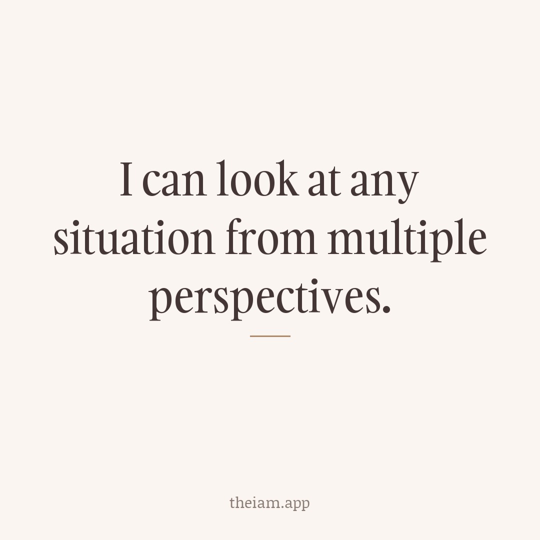 I can look at any situation from multiple perspectives.