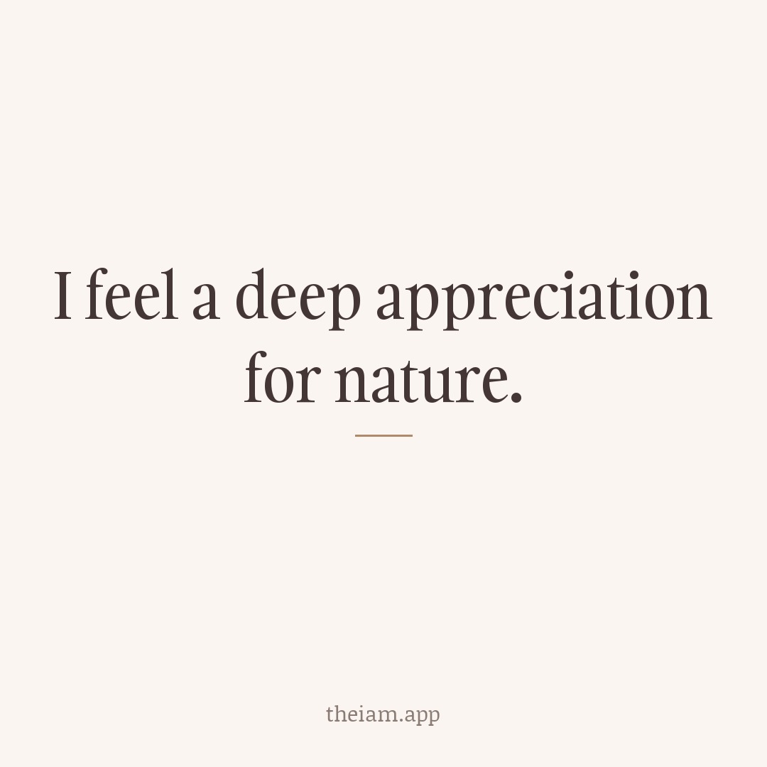 I feel a deep appreciation for nature.