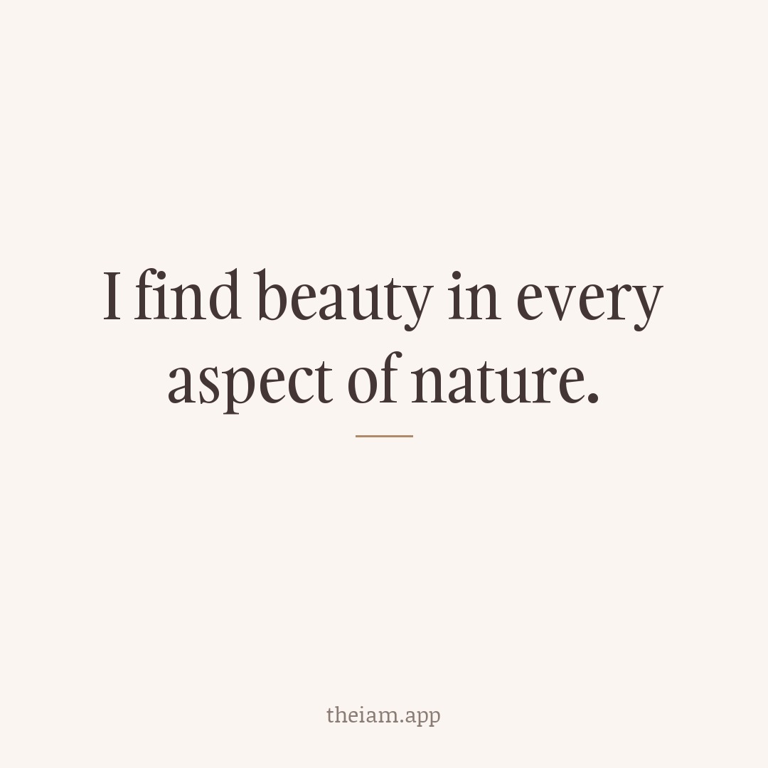 I find beauty in every aspect of nature.