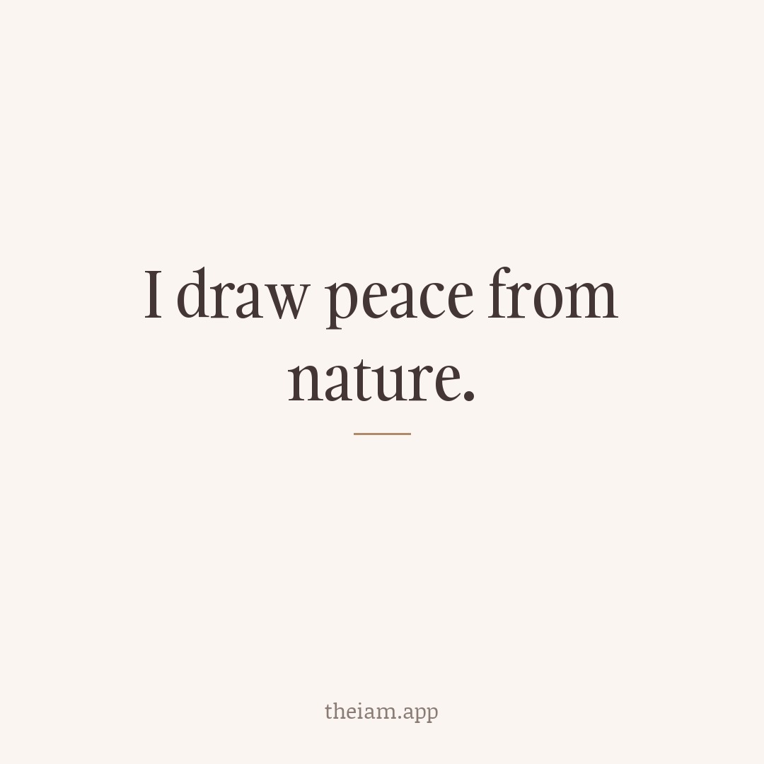 I draw peace from nature.