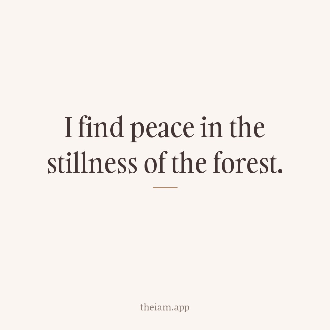 I find peace in the stillness of the forest.