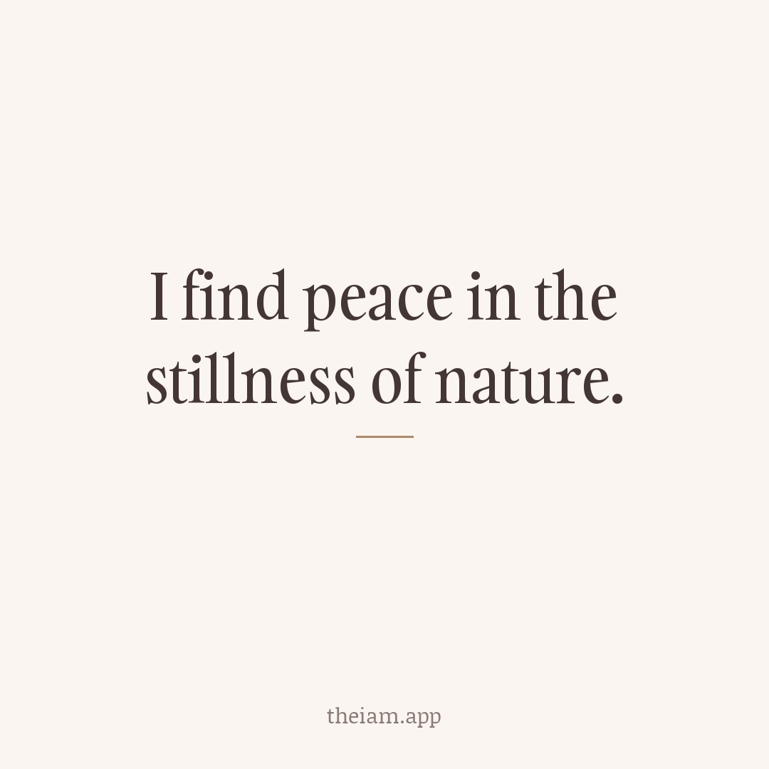 I find peace in the stillness of nature.