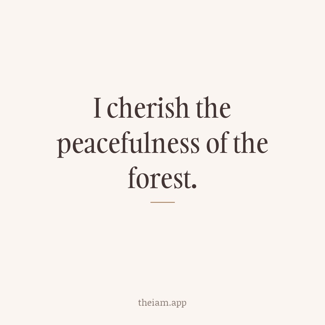 I cherish the peacefulness of the forest.