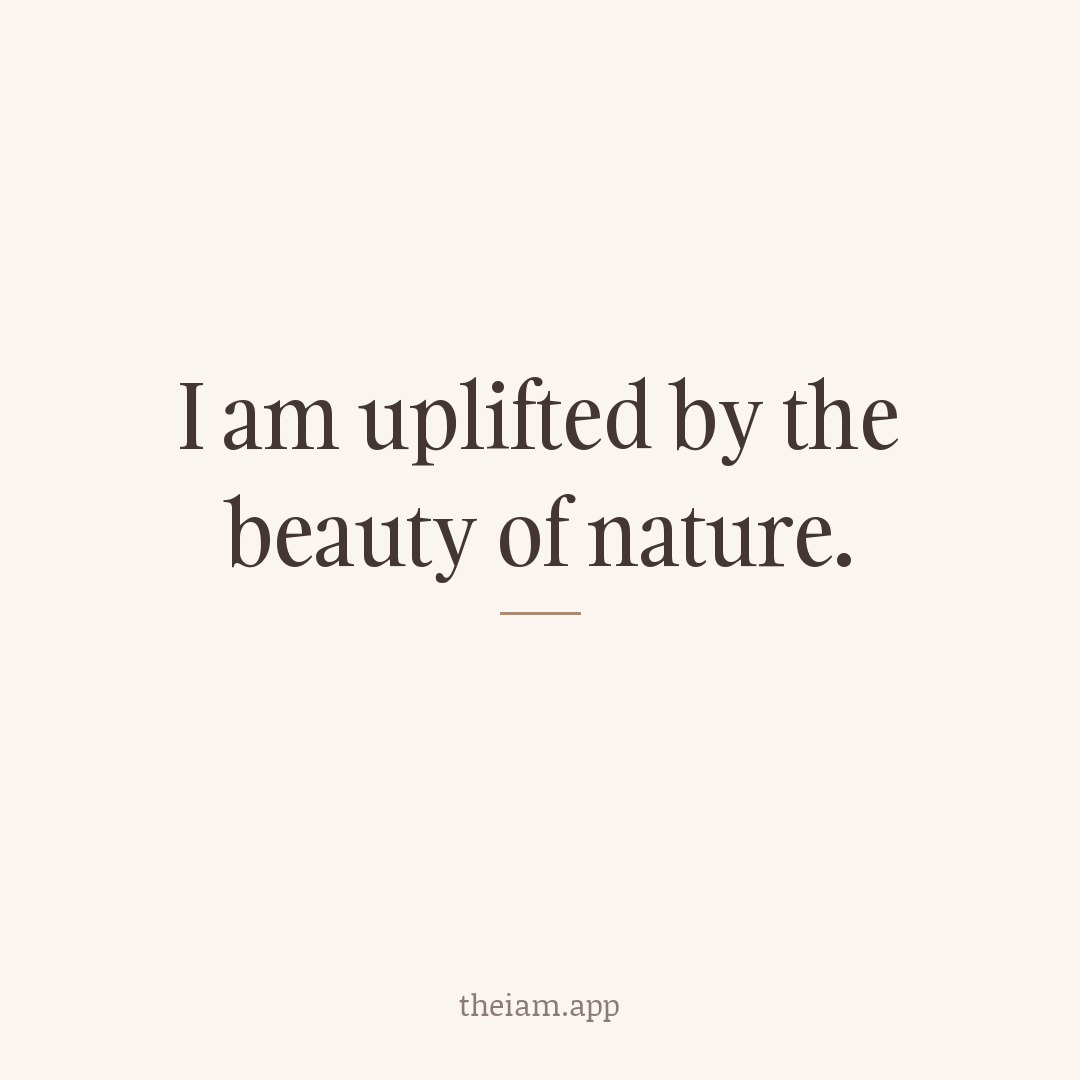 I am uplifted by the beauty of nature.