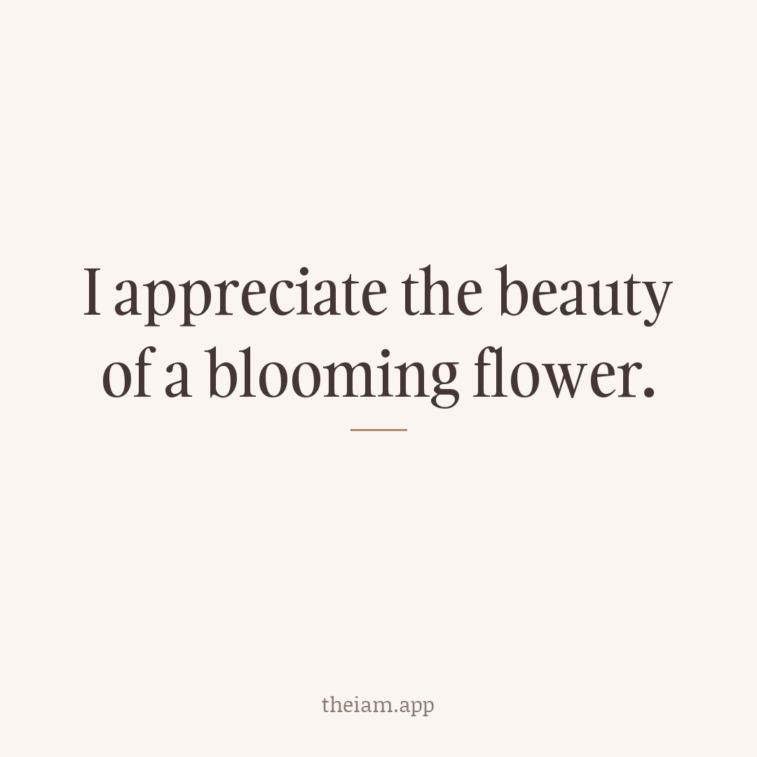 I appreciate the beauty of a blooming flower.