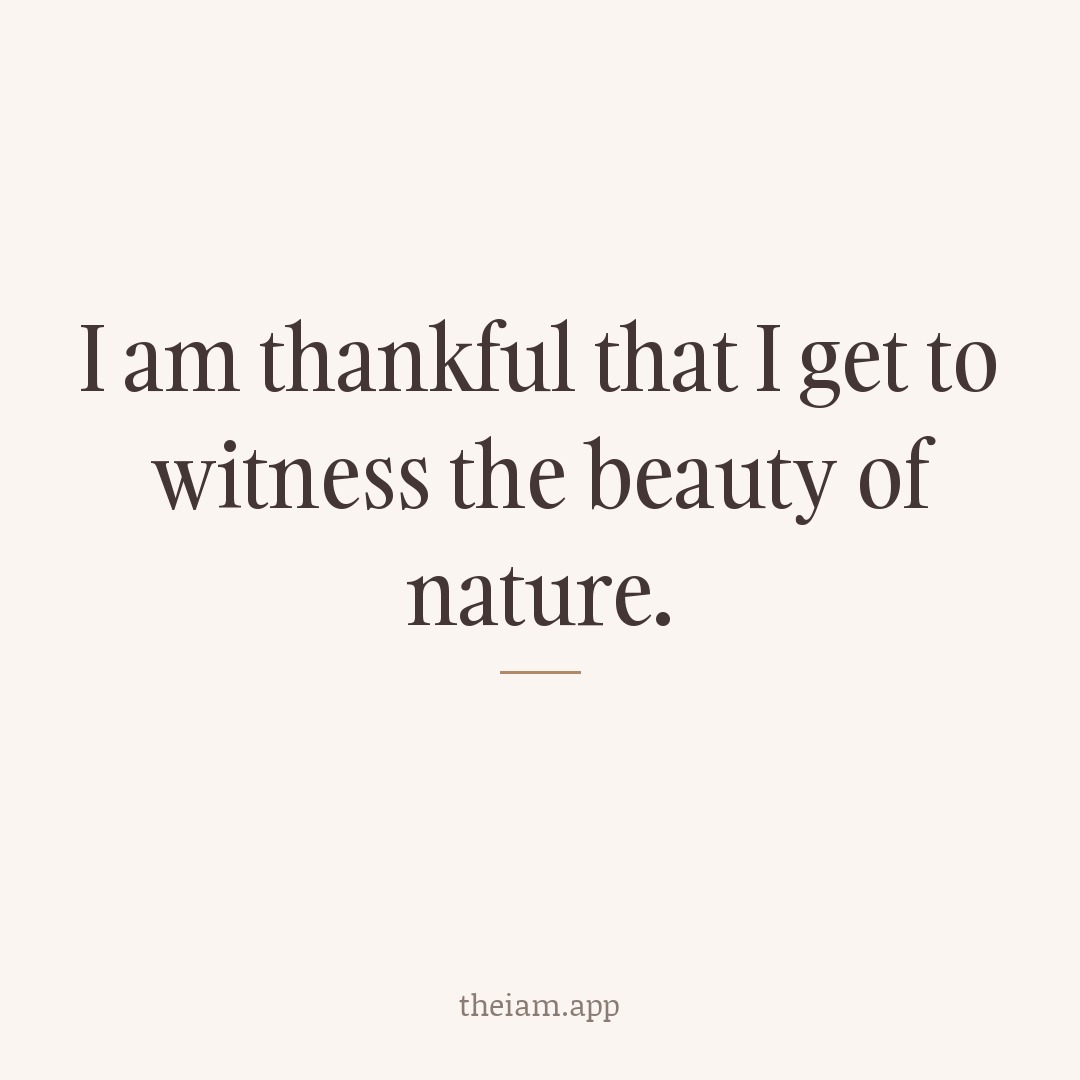 I am thankful that I get to witness the beauty of nature.