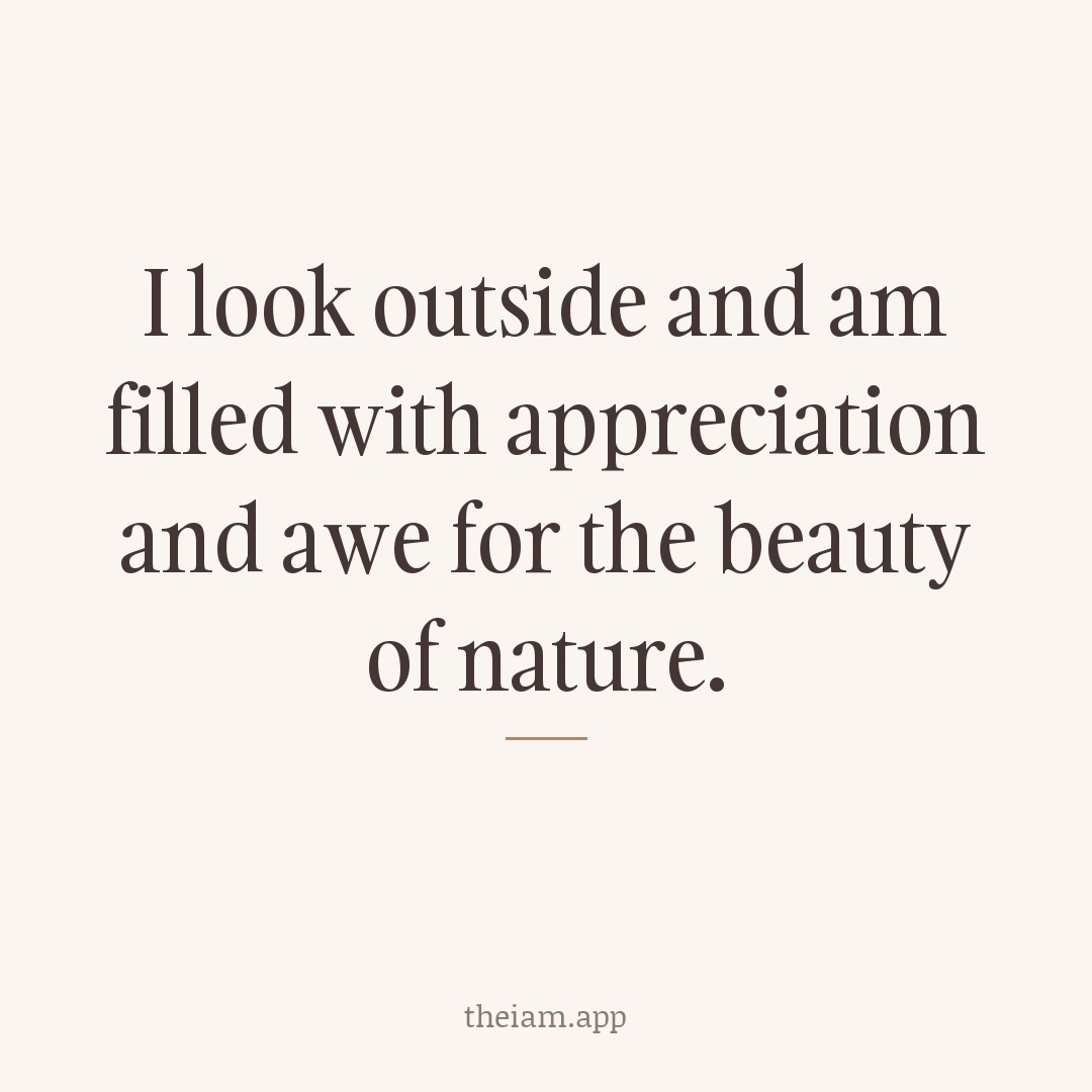 I look outside and am filled with appreciation and awe for the beauty of nature.
