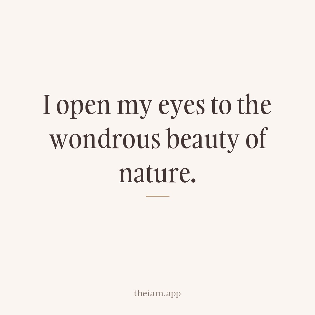 I open my eyes to the wondrous beauty of nature.