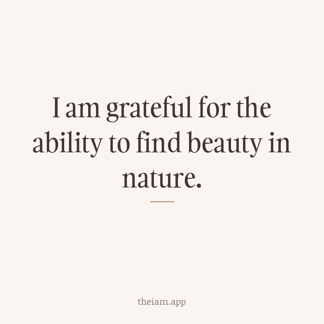 I am grateful for the ability to find beauty in nature.