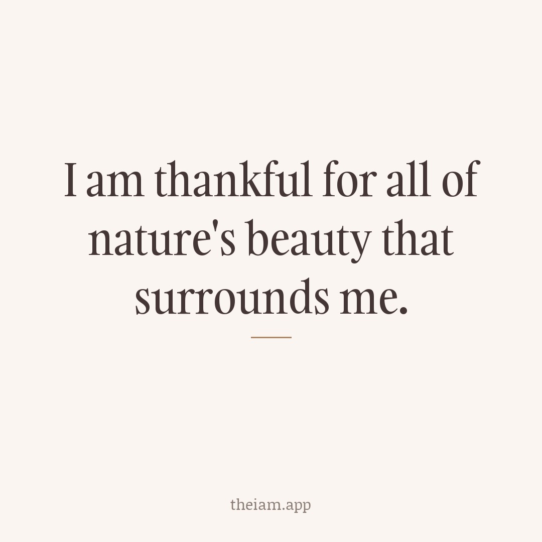I am thankful for all of nature's beauty that surrounds me.