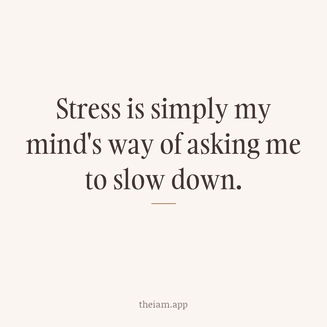 Stress is simply my mind's way of asking me to slow down.