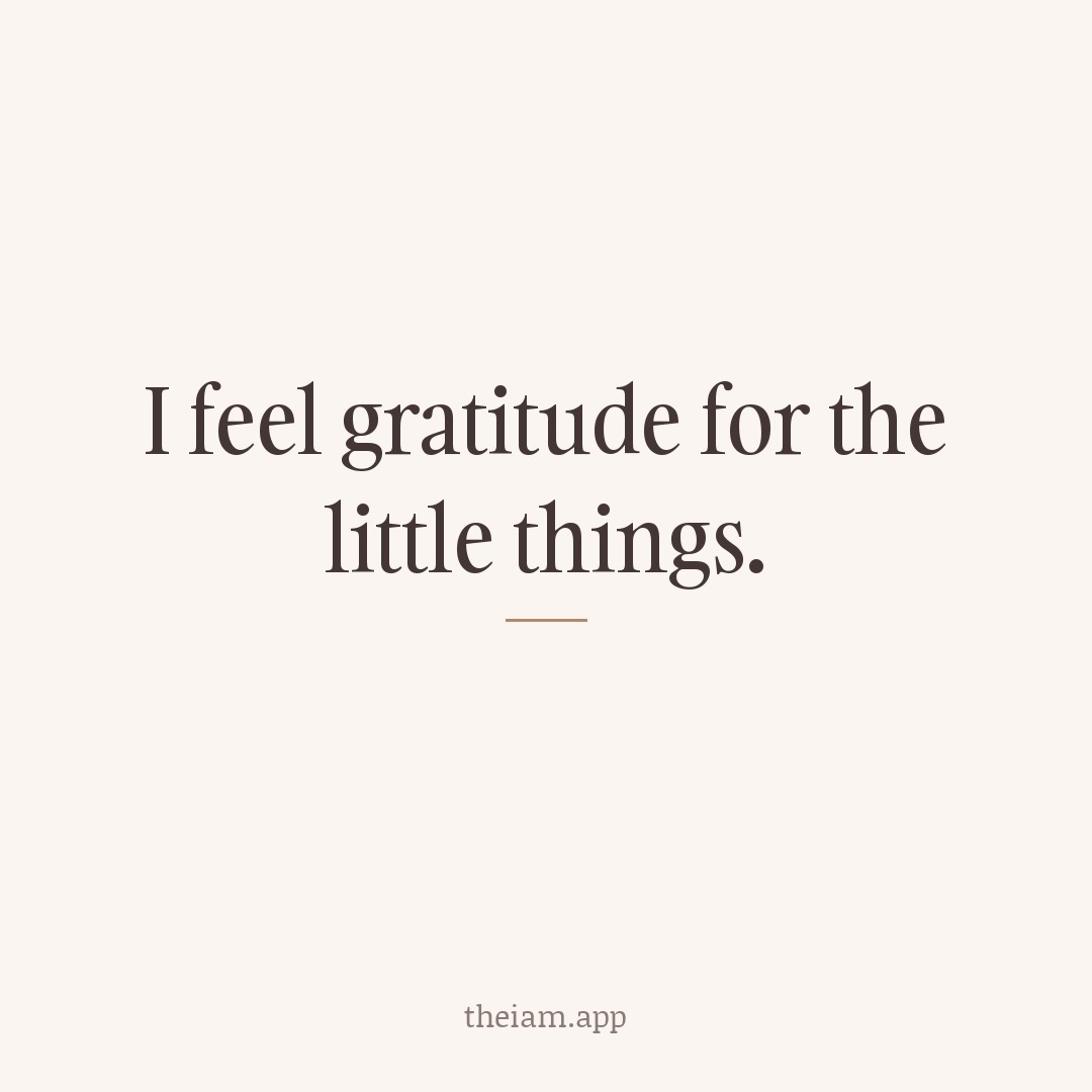 I feel gratitude for the little things.
