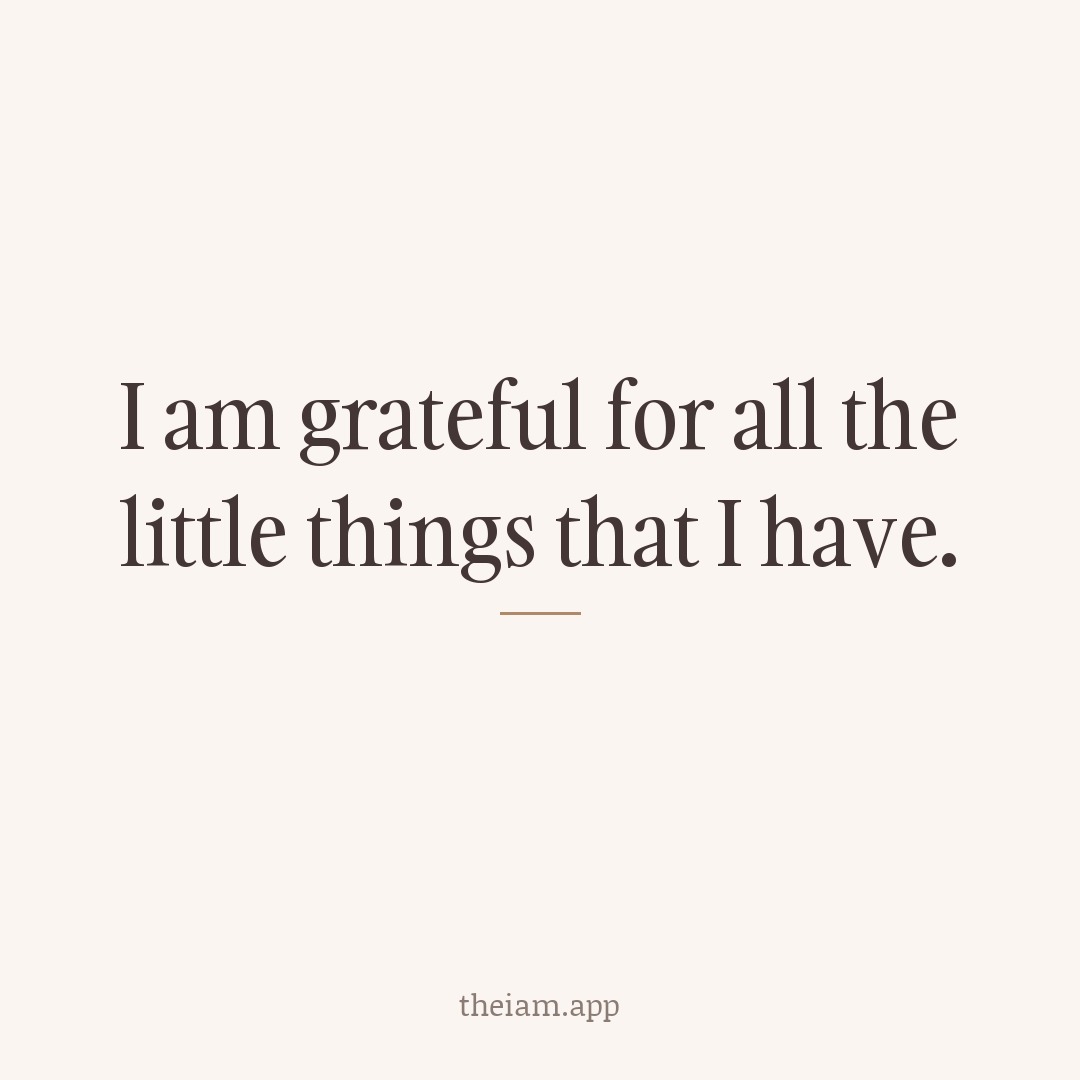 I am grateful for all the little things that I have.
