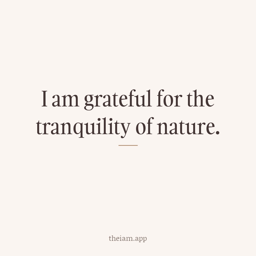 I am grateful for the tranquility of nature.