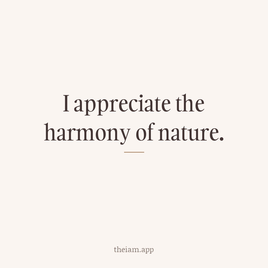 I appreciate the harmony of nature.