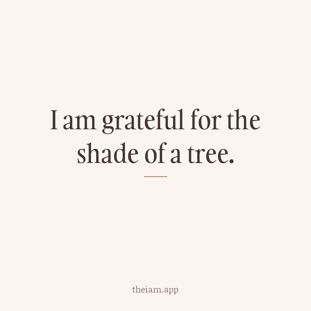 I am grateful for the shade of a tree.