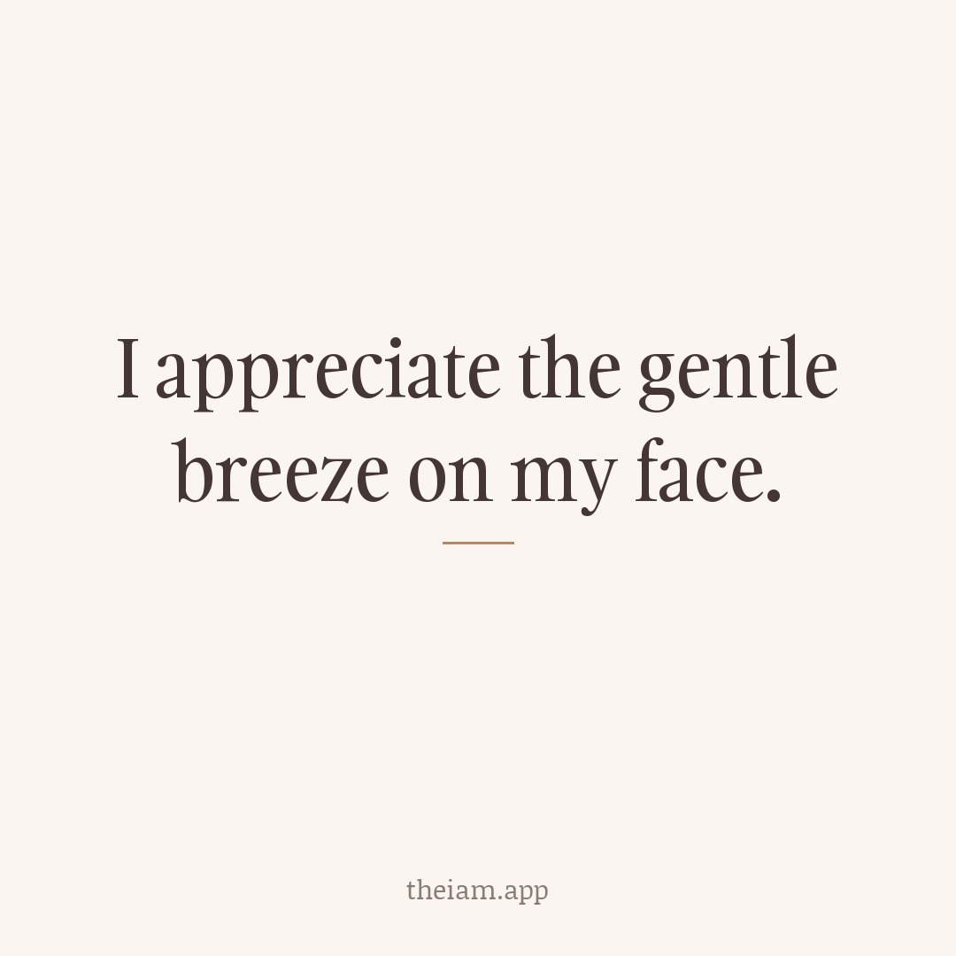 I appreciate the gentle breeze on my face.