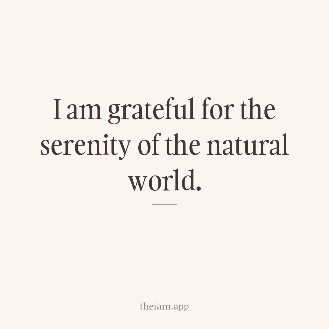 I am grateful for the serenity of the natural world.