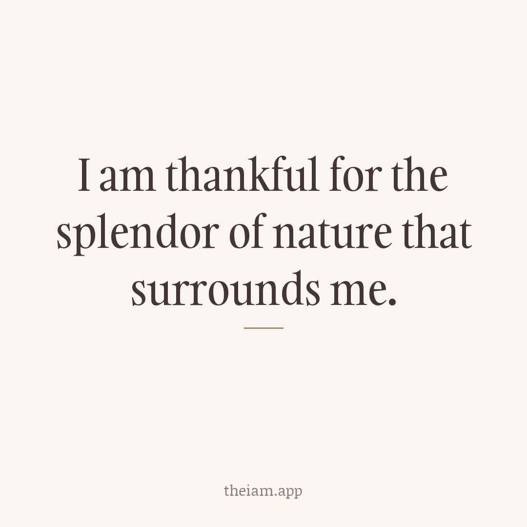 I am thankful for the splendor of nature that surrounds me.