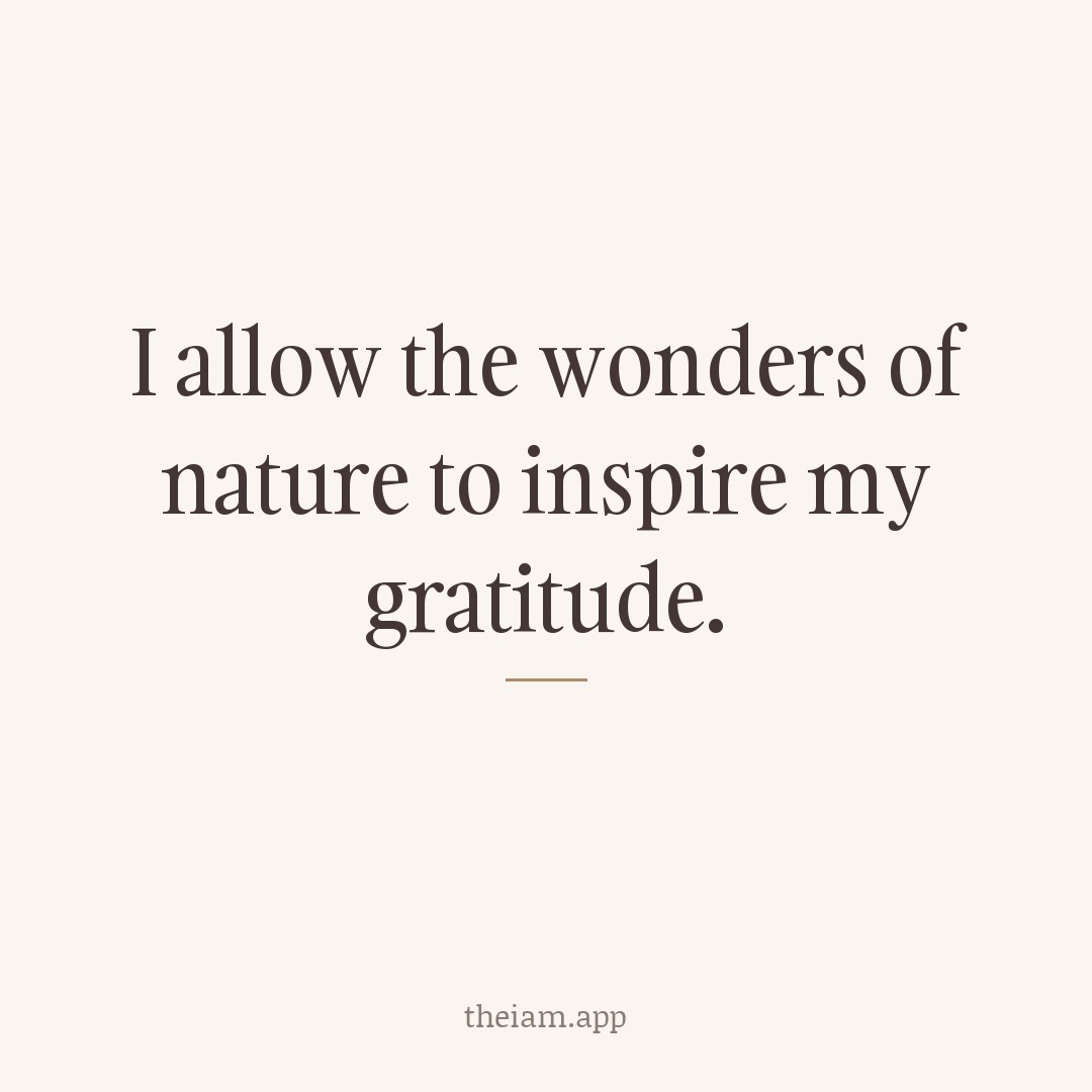 I allow the wonders of nature to inspire my gratitude.