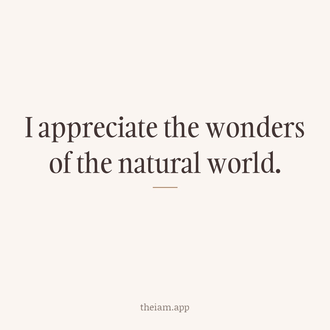 I appreciate the wonders of the natural world.