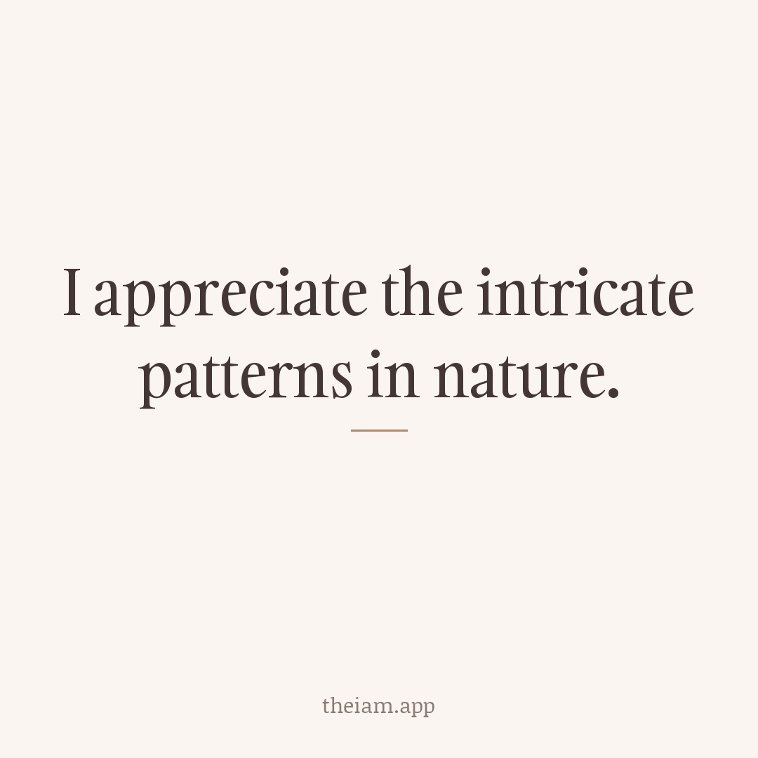 I appreciate the intricate patterns in nature.