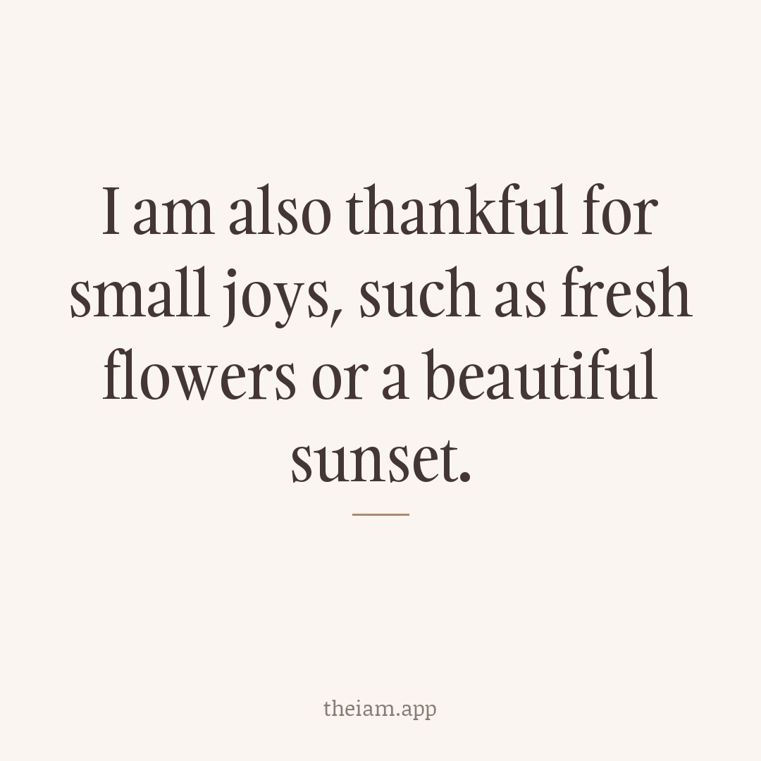 I am also thankful for small joys, such as fresh flowers or a beautiful sunset.